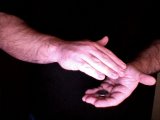 magician drops coin into left hand