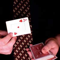 Peek A Boo Find  Magic Trick Card Trick